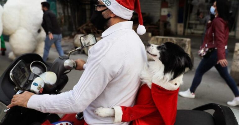 متبنوا الكلاب في كندا يتعرضون لعمليات احتيال